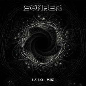 Somber （Remix）Mp3下载-ZABO