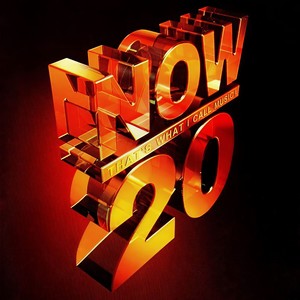 Now That's What I Call Music! 20