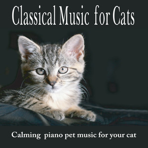 classical music for cats: calming pet music