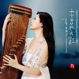 杏花天影(常静 古筝仙子领衔 跨界古典唯美呈现)