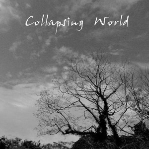 collapsing world (抖音热版bgm)