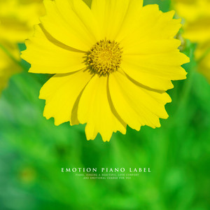 텅 빈 마음을 포근하게 채워주는 감성 피아노 (Emotion Piano Collection)