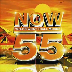 Now That's What I Call Music! 55