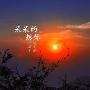 上传时间:2016-01-22 来源:qq音乐开放平台举报投诉 歌词 呆呆的想你