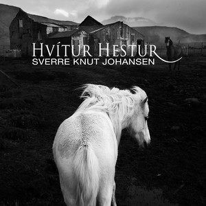Hvítur Hestur