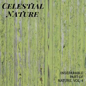 Celestial Nature - Inseparable Part of Nature, Vol. 4
