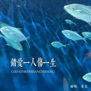 错爱一人伤一生