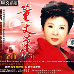 月亮之歌(热度:54)由红枫叶翻唱，原唱歌手董文华