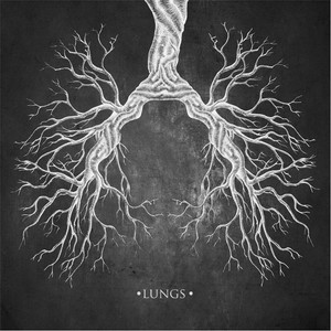 Lungs