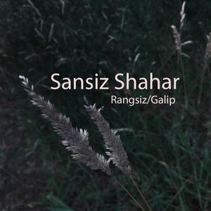 sansiz shahar