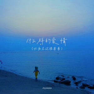 什么样的爱情 （以为忘记很容易）Mp3下载-Joysaaaa