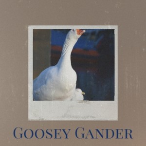 goosey gander