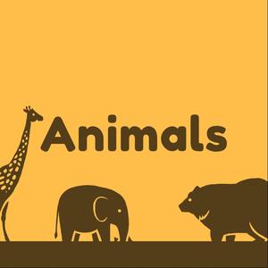 animals是什么意思,animals是什么意思? animals