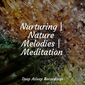 nurturing | nature melodies | meditation