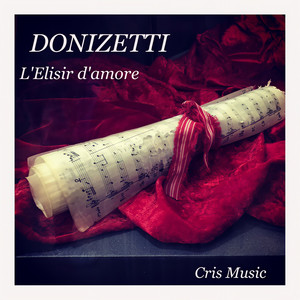 Donizetti: L'elisir d'amore (Live)
