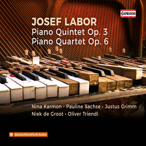 LABOR, J.: Piano Quintet / Piano Quartet (Karmon, Sachse, Grimm, De Groot, Triendl)