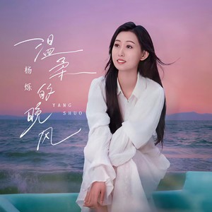 温柔的晚风Mp3下载-杨烁