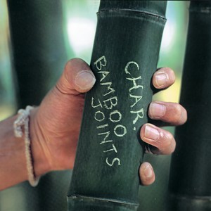 BAMBOO JOINTS