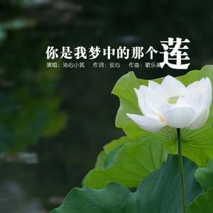 你是我梦中的那个莲 (伴奏)