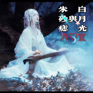 白月光与朱砂痣 (抖音dj版)