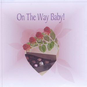 On the Way Baby
