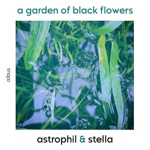 A Garden of Black Flowers
