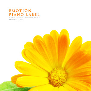 심신의 피로를 치유하는 숙면 감성 피아노 (Sleeping Emotional Piano To Heal Physical And Mental Fatigue)