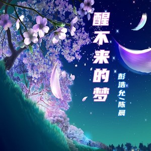 醒不来的梦 (原唱:回小仙)