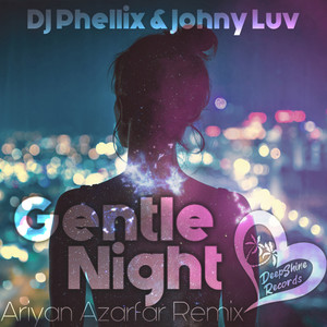 gentle night(ariyan azarfar remix)