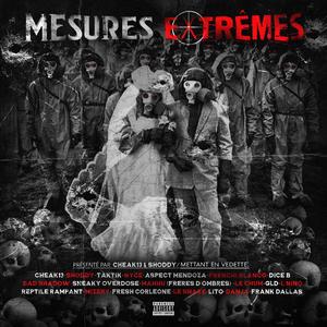 Mesures extrêmes (Explicit)