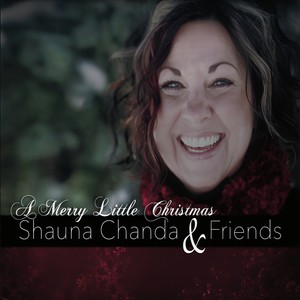 A Merry Little Christmas