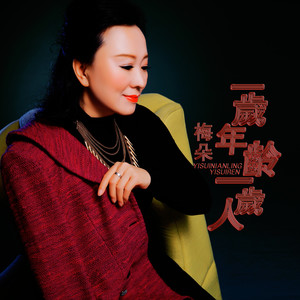 一岁年龄一岁人(热度:22)由赖燕翻唱，原唱歌手梅朵