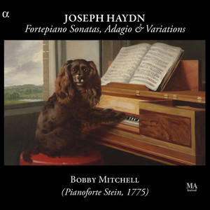 Haydn: Fortepiano Sonatas, Adagio & Variations