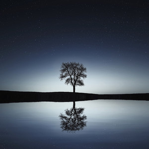 Best of Spring 2019: Soothing Tracks for Deep Relaxation