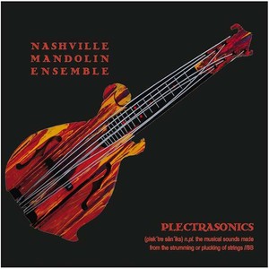 Plectrasonics