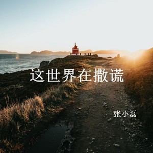 这世界在撒谎