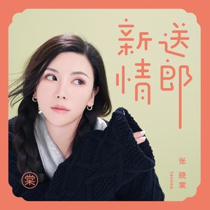 新送情郎 （DJ小卓版）Mp3下载-张晓棠