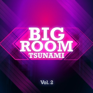 Bigroom Tsunami, Vol. 2