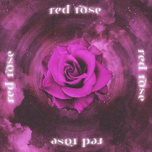 red rose(explicit)