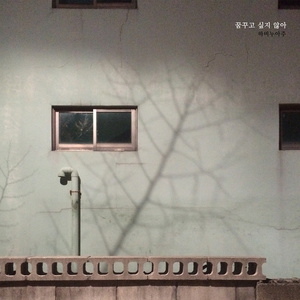 꿈꾸고 싶지 않아 (不愿做梦)