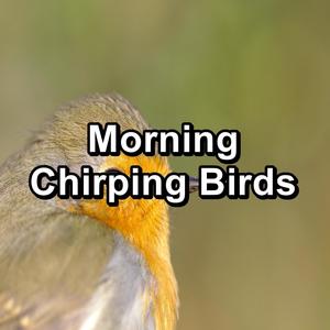 morning chirping birds