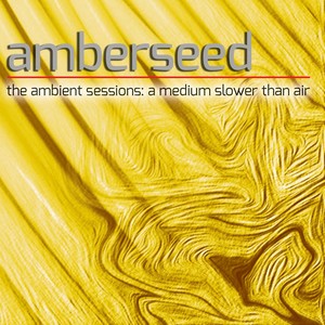 The Ambient Sessions: A Medium Slower Than Air