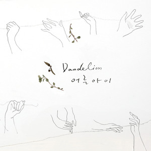 Dandelion (蒲公英)