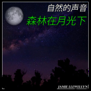 自然的声音: 森林在月光下