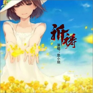 祈祷 (dj新版|原唱:王杰|王韵婵)思小玥专辑:祈祷语种:国语流派:pop