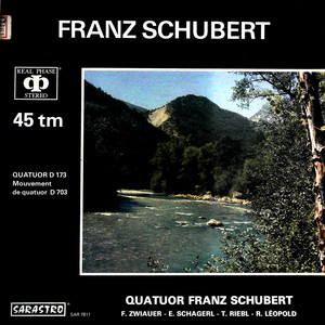 Quatuor D 173 - Mouvement De Quatuor D 703(黑胶版)