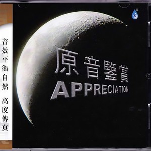 演唱歌手夏雨了的头像