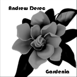 Gardenia (栀子花)