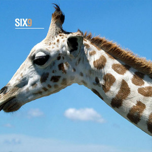 Six9