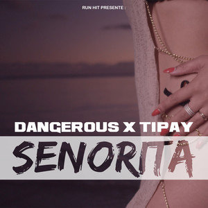 senorita (edit) dangerous / tipay 专辑: senorita 歌词